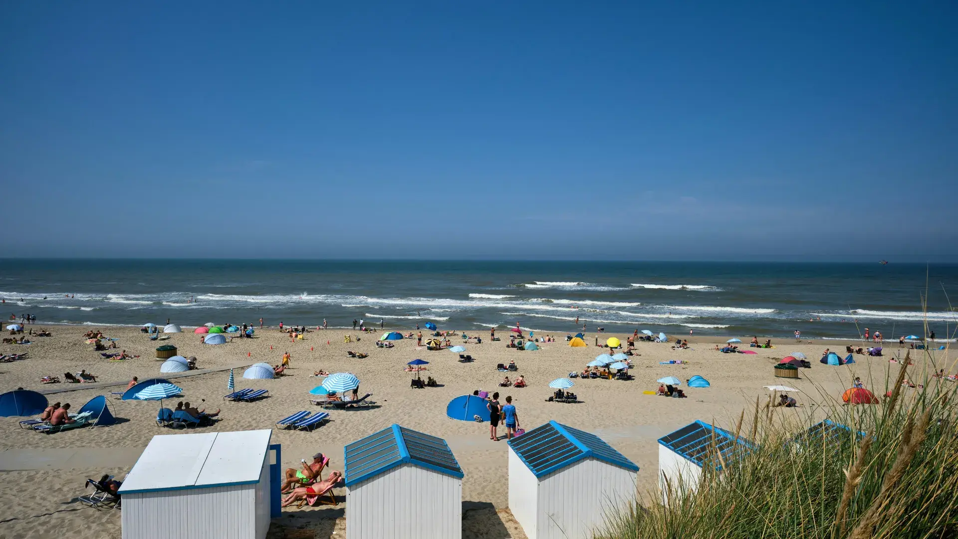 Holiday home hero image