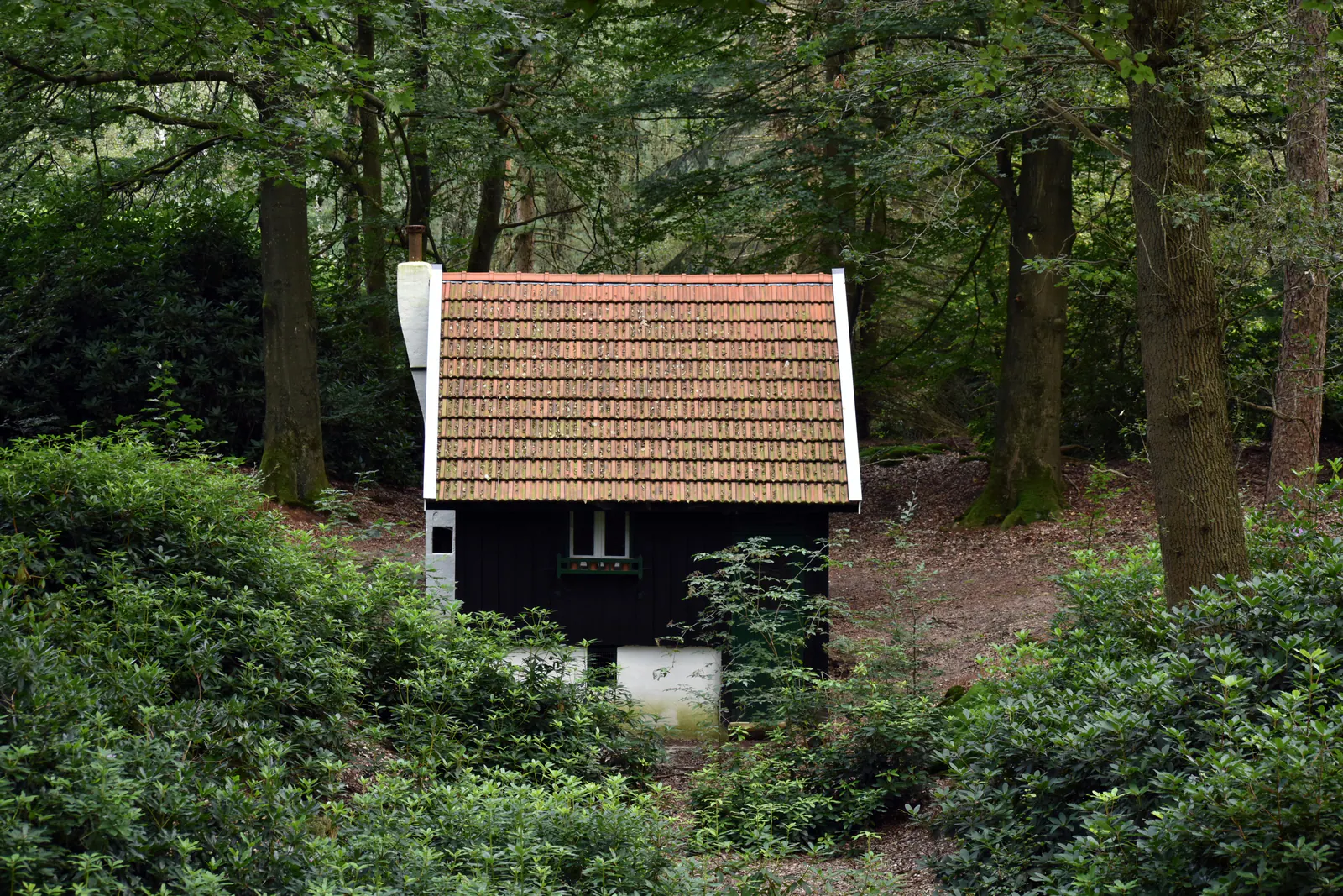 Natur